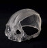 Medical Model Manufacture by Commission (Optical Shaping and Human Skull)