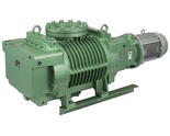 RD2500 - Roots Vacuum Pumps (Osaka Vacuum)