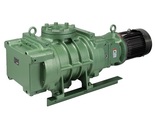 Repair vacuum pump Osaka Vacuum - RD Series