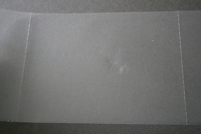 Protection Film and Slight Adhesive Film with Roulette【Roll】