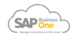 SAP Business One: ERP Solution for Small and Medium-Sized Enterprises (SMEs)