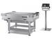 Checkweigher (Bangkok - Thailand)