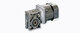 Compact Right-Angle Hollow Shaft Geared Motor RW-mini  (Miki Pulley Thailand)