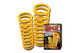 AMX Suspension : Coil Spring AMX